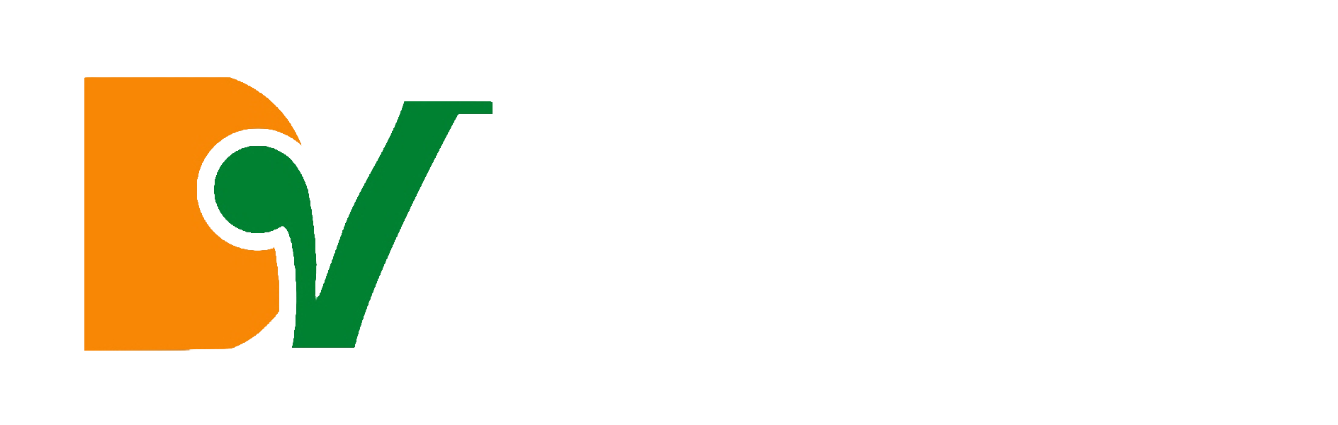 DV Group Main Logo
