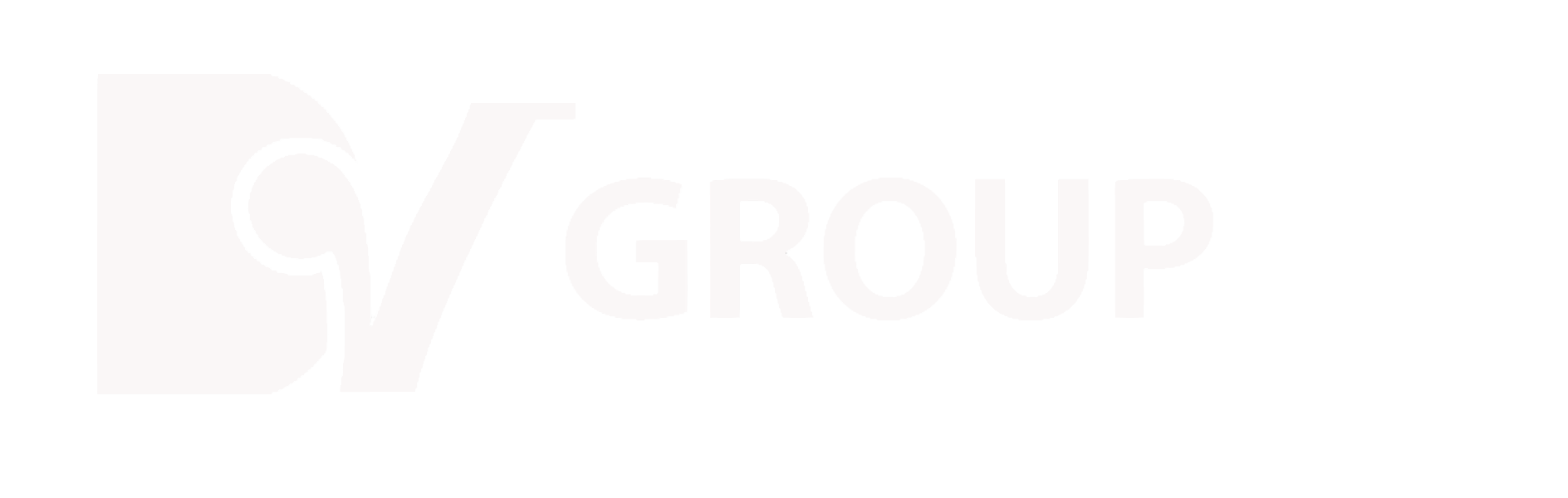 DV Group White Logo